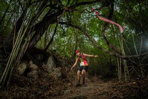 BIB: 
                            <button type="button" onclick="openModal(22177798)" class="btn btn-primary btn-sm float-right btn-popup" data-toggle="modal" data-target=".modal-high-quality">
                        <i class="fas fa-shopping-cart"></i> Add to Cart
                    </button>
                                            <button type="button" onclick="isThisMe(22177798, true)" class="btn btn-success btn-sm float-right btn-popup btn-isme hidden" data-toggle="tooltip" data-placement="bottom" title="นี่คือรูปของคุณใช่ไหม คลิกที่นี่เพื่อเอาเข้าอัลบั้ม">
                        <i class="fas fa-plus"></i> Add to album
                    </button>
                    <button type="button" onclick="isThisMe(22177798, false)" class="btn btn-warning btn-sm float-right btn-popup btn-isnotme hidden">
                        <i class="fas fa-ban"></i> Remove from album
                    </button>